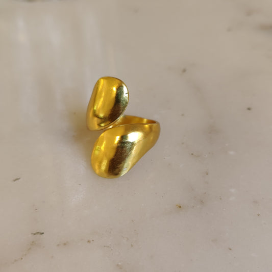 Double Trouble Ring