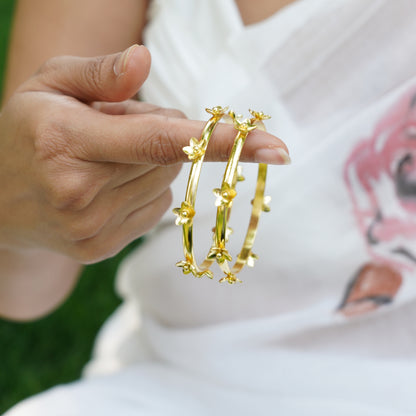 Raatrani Bangle - Pair