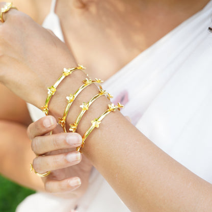 Raatrani Bangle - Pair