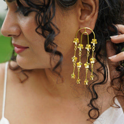 Raatrani Drop Earrings