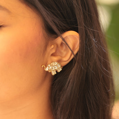 Ibha Earrings